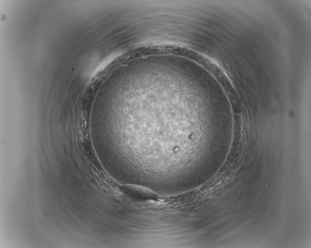 X0000087590871200705041506