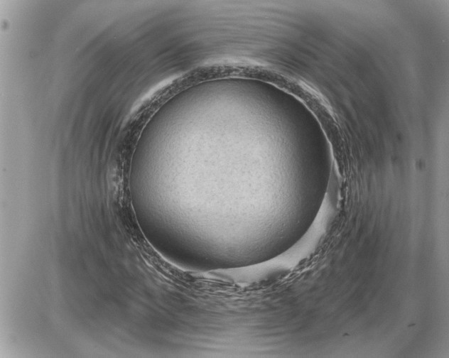 X0000087590872200705041506