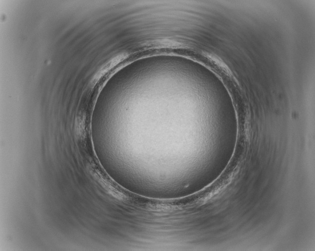 X0000087590873200705041506