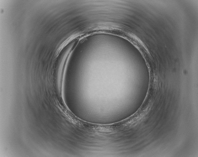 X0000087590874200705041506