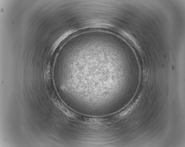 X0000087590875200705041506