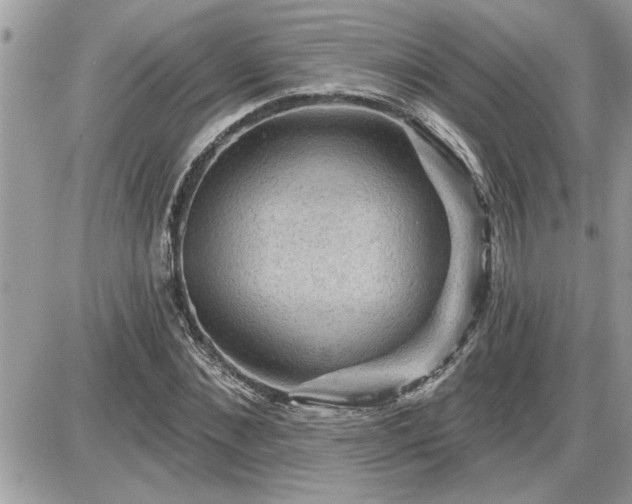 X0000087590876200705041506