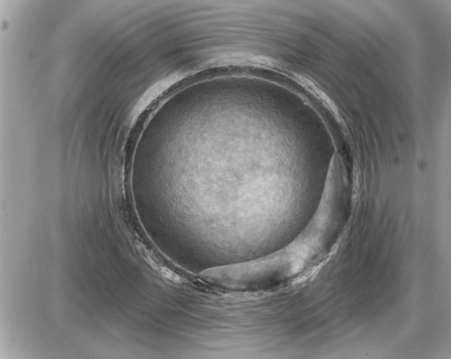 X0000087590877200705041506