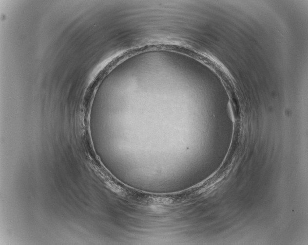 X0000087590878200705041506