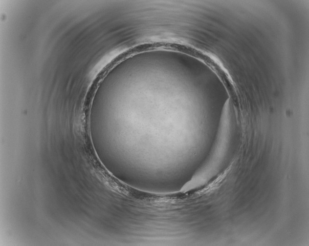 X0000087590879200705041506