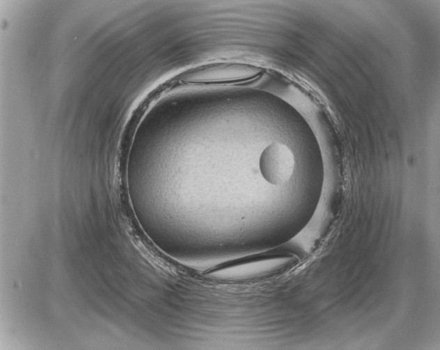 X0000087590880200705041506