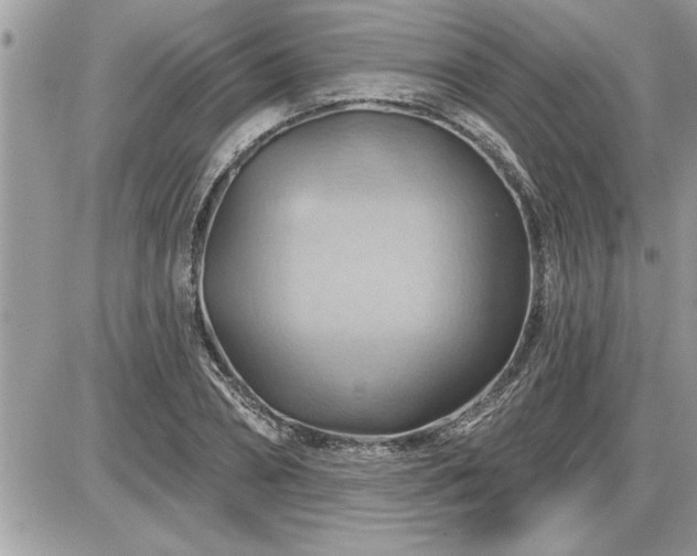 X0000087590882200705041506