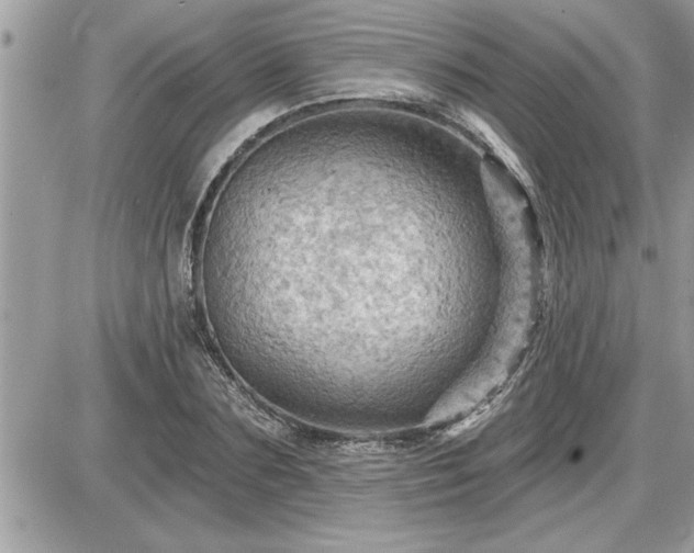 X0000087590883200705041506