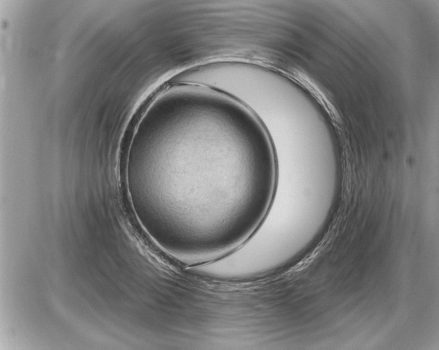 X0000087590884200705041506