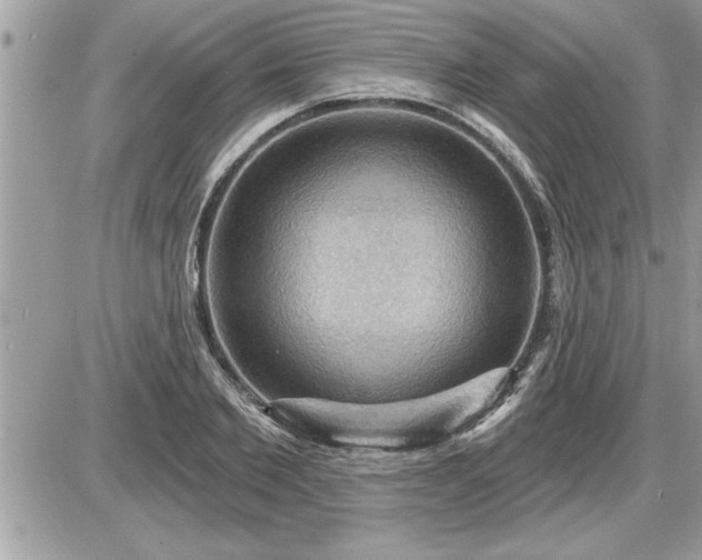 X0000087590885200705041506