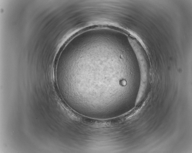 X0000087590887200705041506