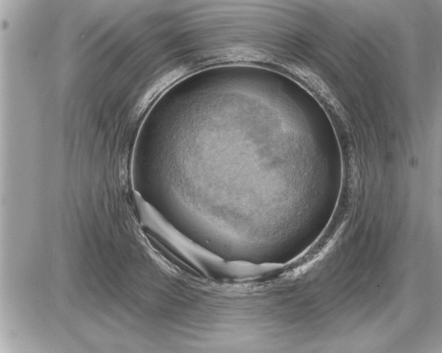 X0000087590889200705041506