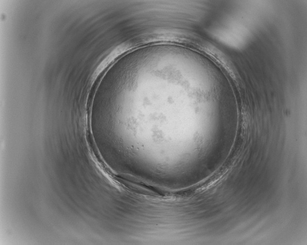 X0000087590890200705041506