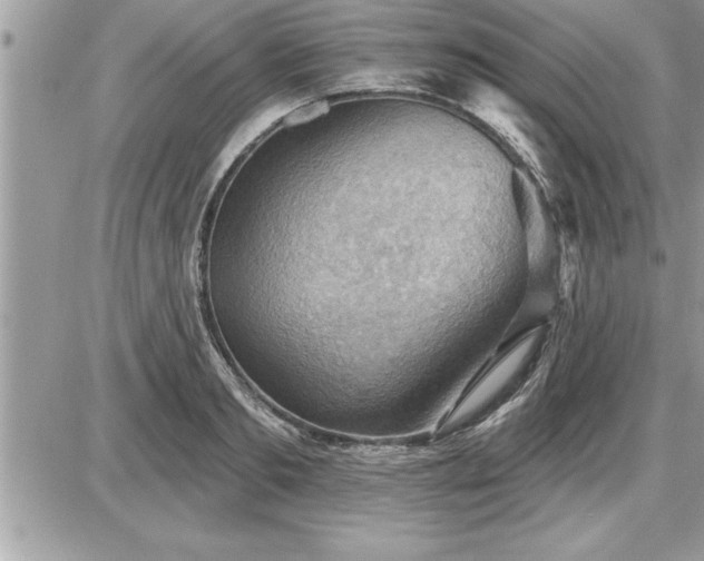 X0000087590893200705041506