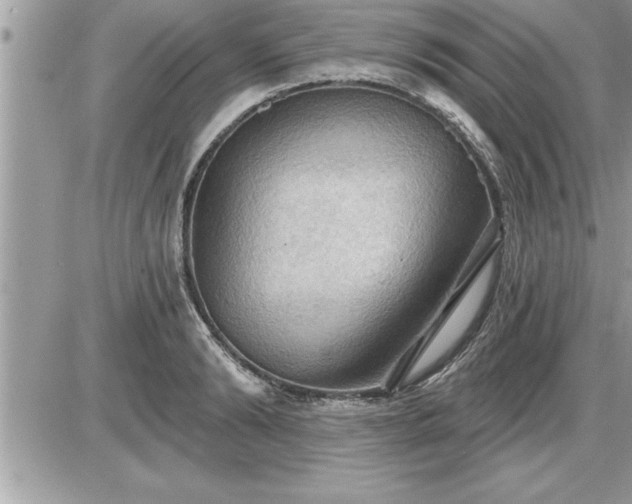 X0000087590894200705041506