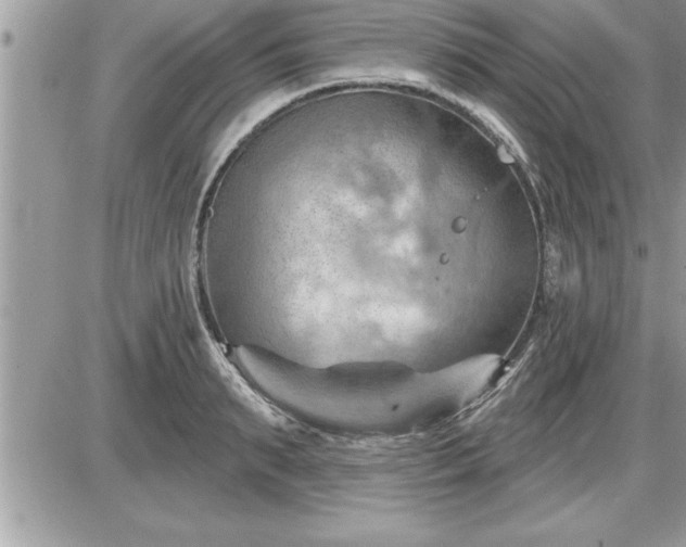 X0000087590895200705041506