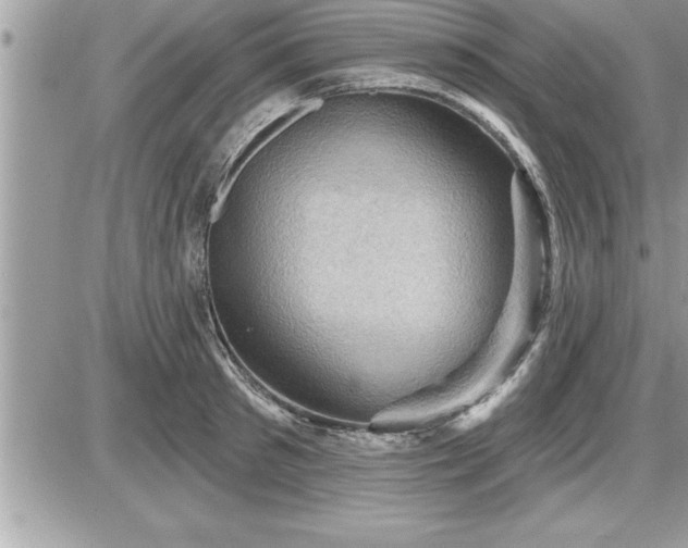 X0000087590897200705041506