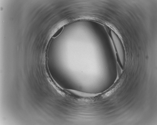 X0000087590898200705041506