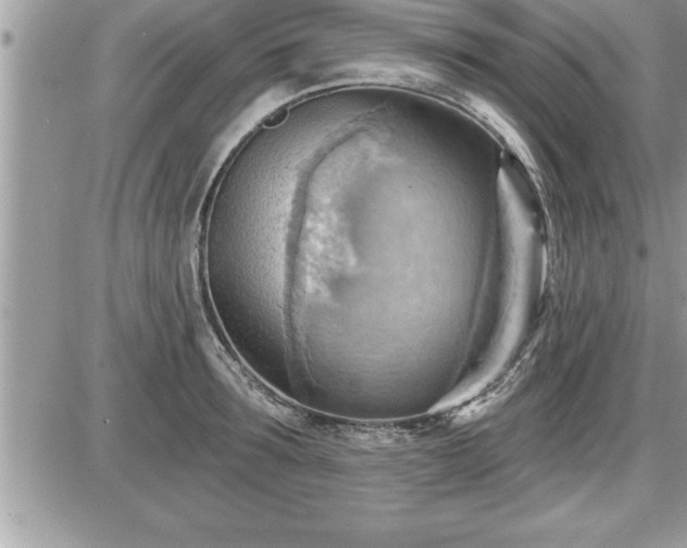 X0000087590899200705041506