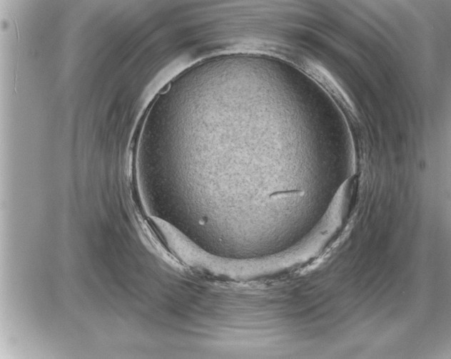 X0000087590900200705041506