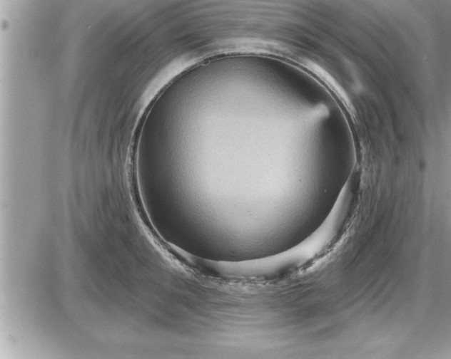 X0000087590901200705041506