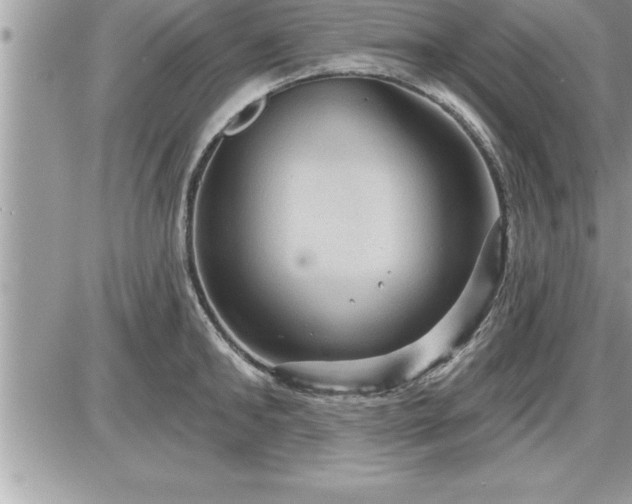 X0000087590902200705041506