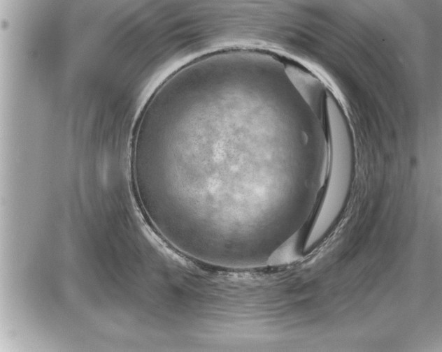 X0000087590903200705041506