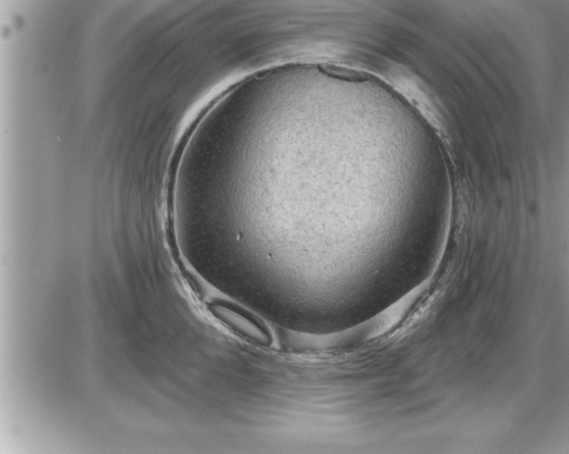 X0000087590904200705041506