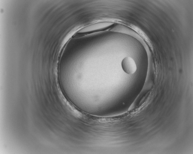 X0000087590906200705041506