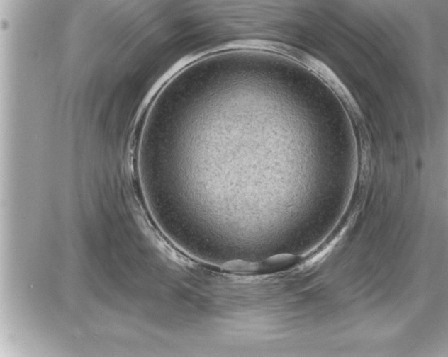 X0000087590908200705041506