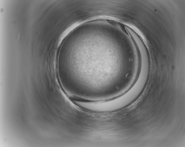 X0000087590910200705041506