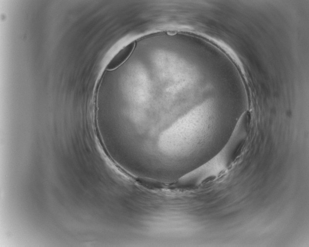 X0000087590911200705041506