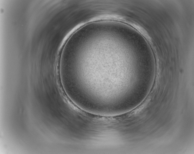 X0000087590912200705041506