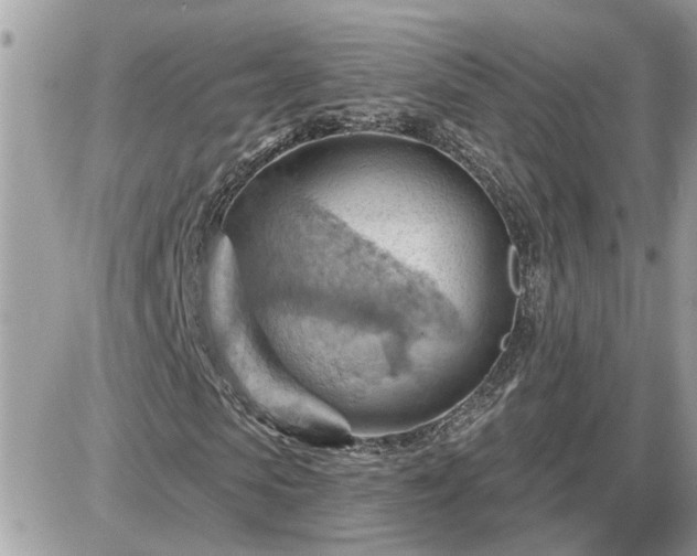 X0000087590913200705041505