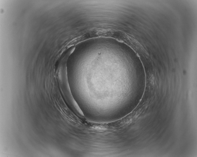 X0000087590914200705041505