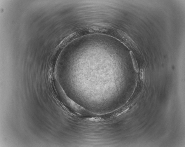 X0000087590915200705041505