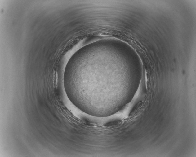 X0000087590916200705041505