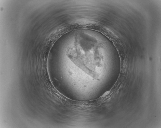 X0000087590917200705041505