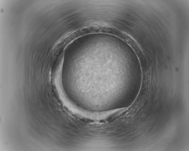 X0000087590919200705041505