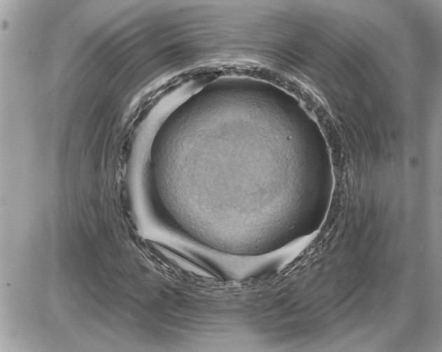 X0000087590920200705041505