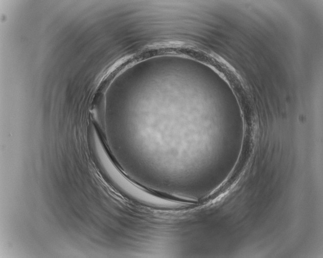 X0000087590921200705041505