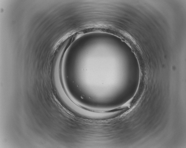 X0000087590922200705041505