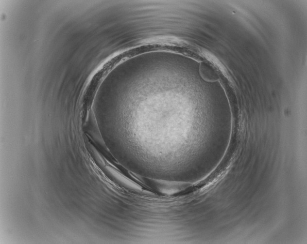 X0000087590923200705041505