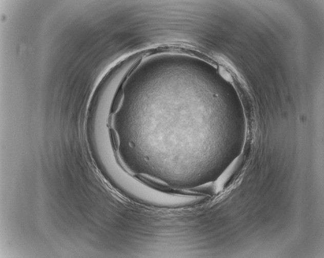 X0000087590924200705041505