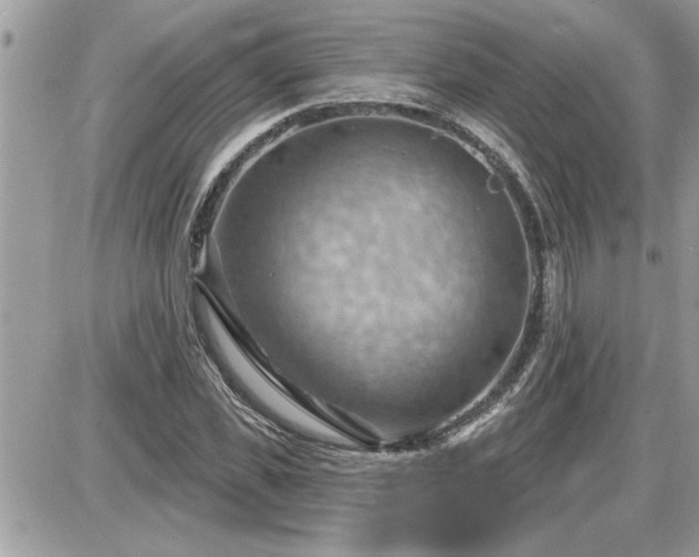 X0000087590925200705041505