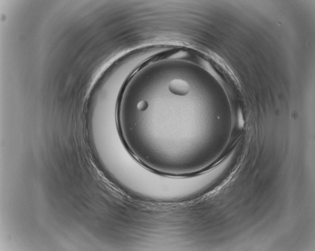 X0000087590926200705041505