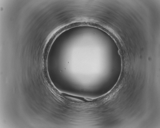 X0000087590927200705041505