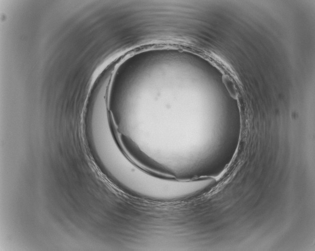 X0000087590928200705041505