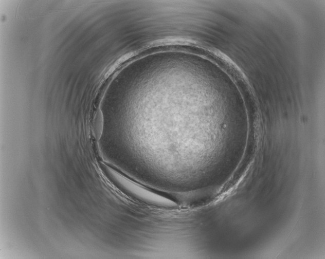 X0000087590929200705041505