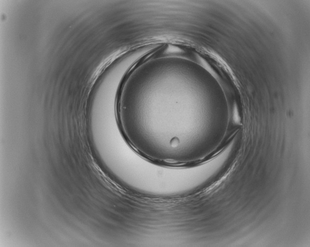 X0000087590930200705041505